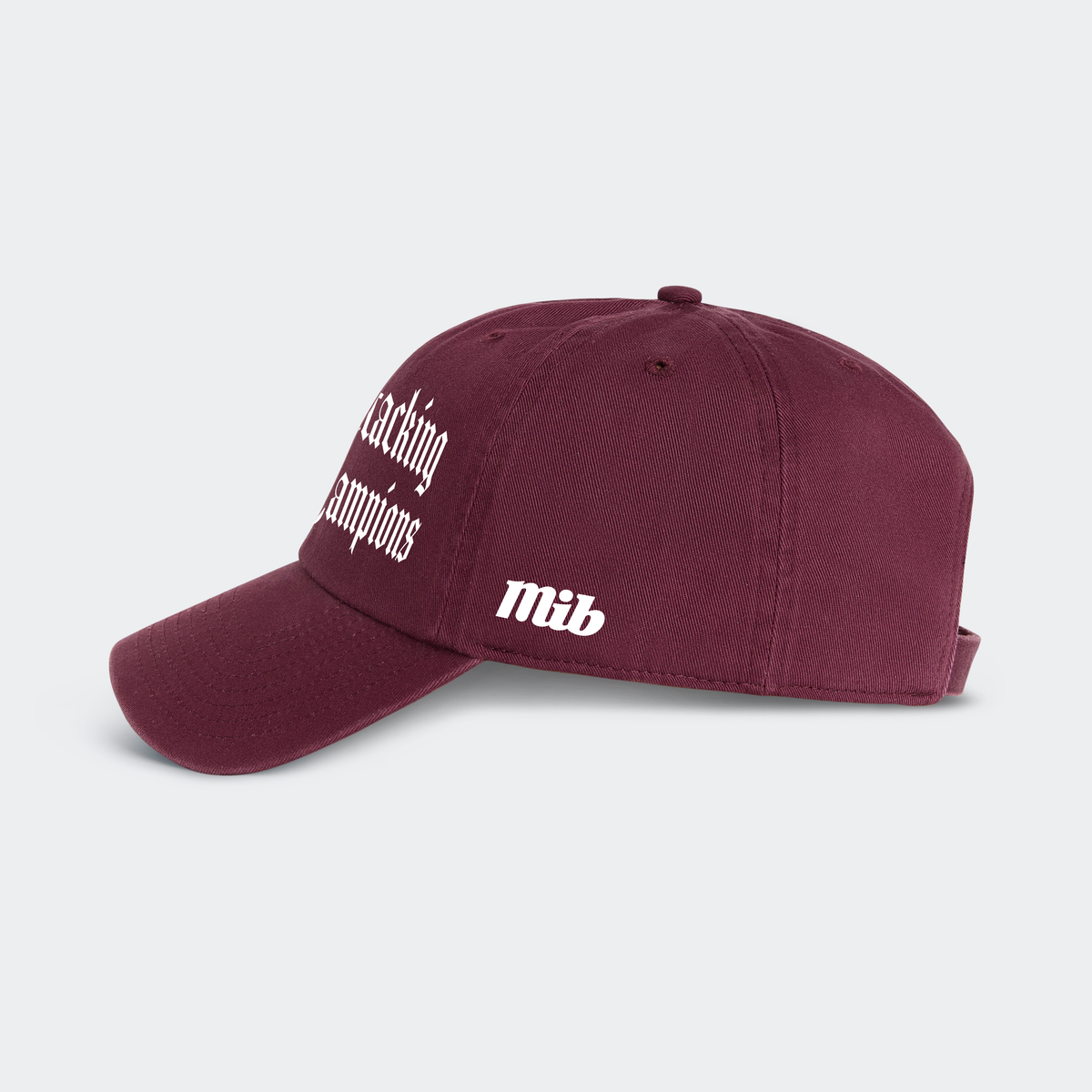 MiB Attacking Champions Hat